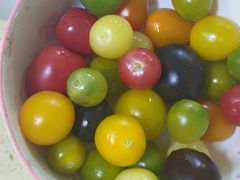 -吉林大学前卫校区南区-日新楼