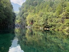 -石台牯牛降景区