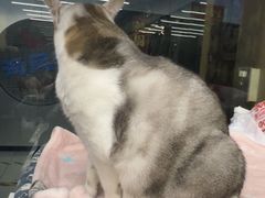 -谜盒子奇幻密室(南屏店)