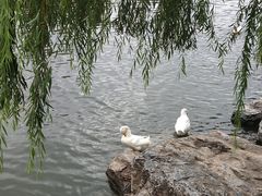 -迎泽公园
