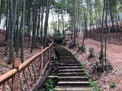 -宁波浙东大竹海景区