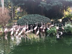 -九龙公园