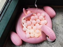 -三圣花乡旅游区