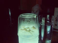 -Banana Moon