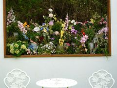 -名花谷生态庄园