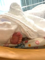 -杭州贝瑞斯美华妇儿医院·早孕·产检·儿科