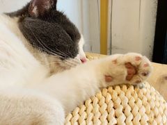 -颐玖 咖啡|甜品