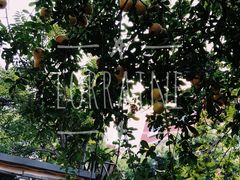 -陈记锅巴菜(五大道店)