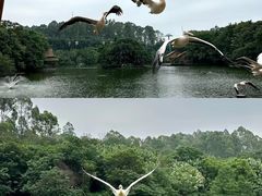 -广州长隆野生动物世界