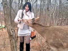 -大连森林动物园