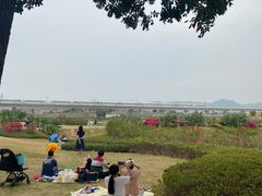 -光明小镇欢乐田园