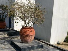 -逸林轩中餐厅(中信泰富朱家角锦江酒店)