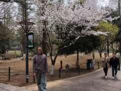 -宝岩生态观光园