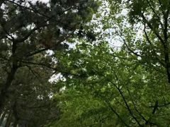 -山东师范大学(千佛山校区)
