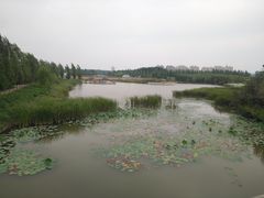 -香山公园
