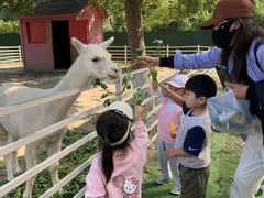 -徐汇区新宜幼稚园
