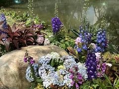 -人民公园(罗湖区)