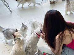 -怪兽屋·羊驼·猫咖·狗咖(俊华广场店)