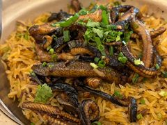 -侨美·唐荔园·40年地道粤菜