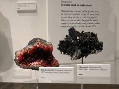 -墨尔本博物馆(Melbourne Museum)