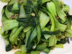 海米油菜-富临港·蒸汽海鲜·手抓海鲜·炒菜(栈桥店)