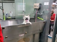 -PETKIT小佩宠物(昭化店)
