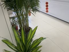 -慈铭体检(洋桥分院)