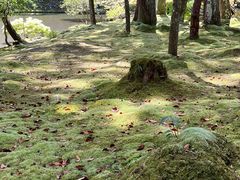 -西芳寺(苔寺)