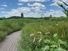 -永定河休闲森林公园