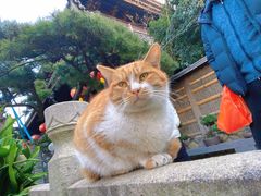 -龙华寺