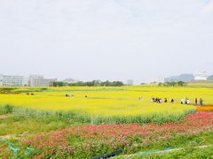 -光明小镇欢乐田园