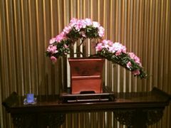 android_upload_pic-三利音·浦之舟(滨江大道店)