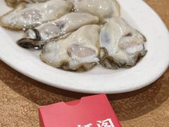 -濠轩阁特色生蚝火锅总店