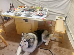 -海底捞火锅(漕宝路店)