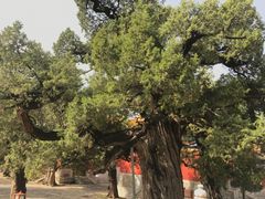 -北京国子监胡同