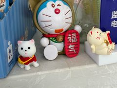 -中农国际动物医院24小时·猫科·骨科·急重症中心