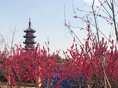 -上海市龙华烈士陵园