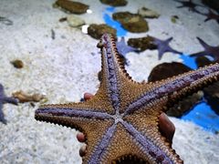 -多彩贵州城极地海洋世界