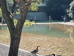 -阳朔糖舍酒店·糖舍餐厅&酒吧