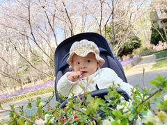 -白塘生态植物园