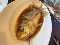 清蒸鲥鱼-上海小南国(国会店)