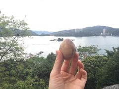 -金盆阿嬷香菇茶叶蛋(玄光店)