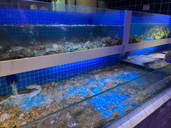 -花西亭·海鲜自助餐厅(瑞城名人酒店)