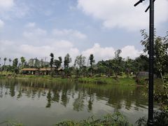 -枫香湖儿童公园