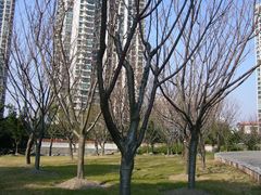 -苏州河梦清园环保主题公园