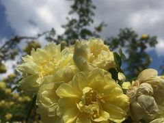 -长春公园(普阳街道)