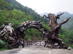 -龙湾潭国家森林公园