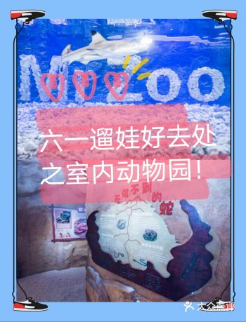 带小朋友畅玩室内动物园