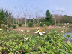 -海南热带野生动植物园