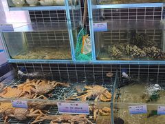 -宏运厨房·海鲜青岛菜·生日宴(城市阳台店)